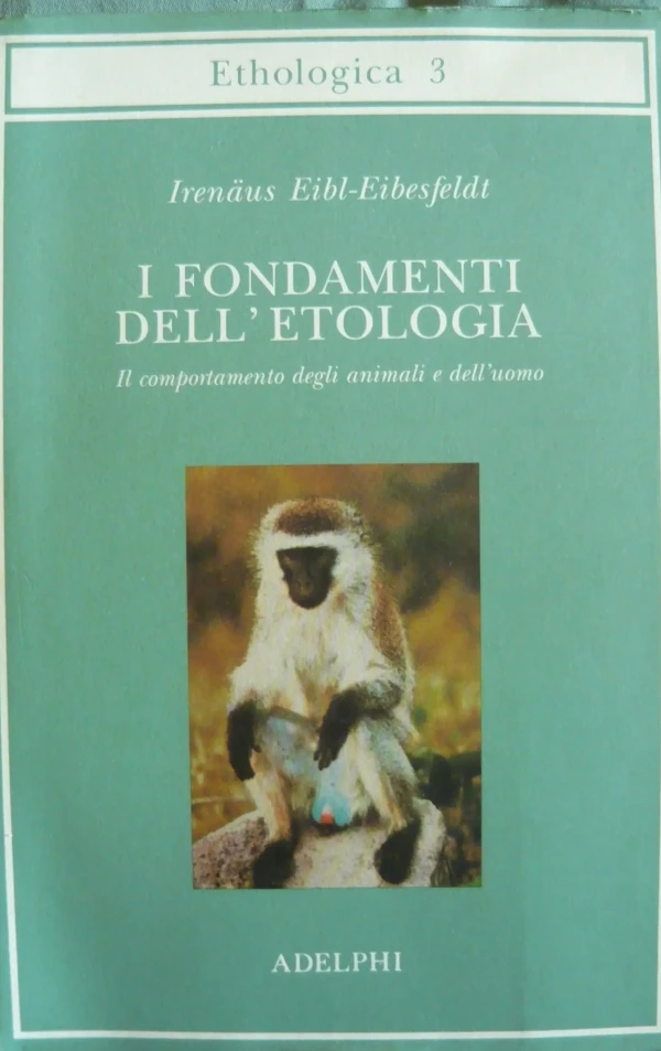 book_140.webp