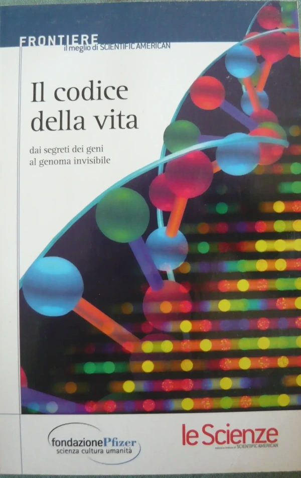 book_144.webp